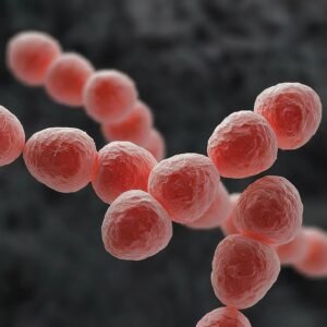 Death Within 48 Hours - Japan Grapples with Flesh-Eating Bacteria Surge - Mihiraa Healthcare Insight
